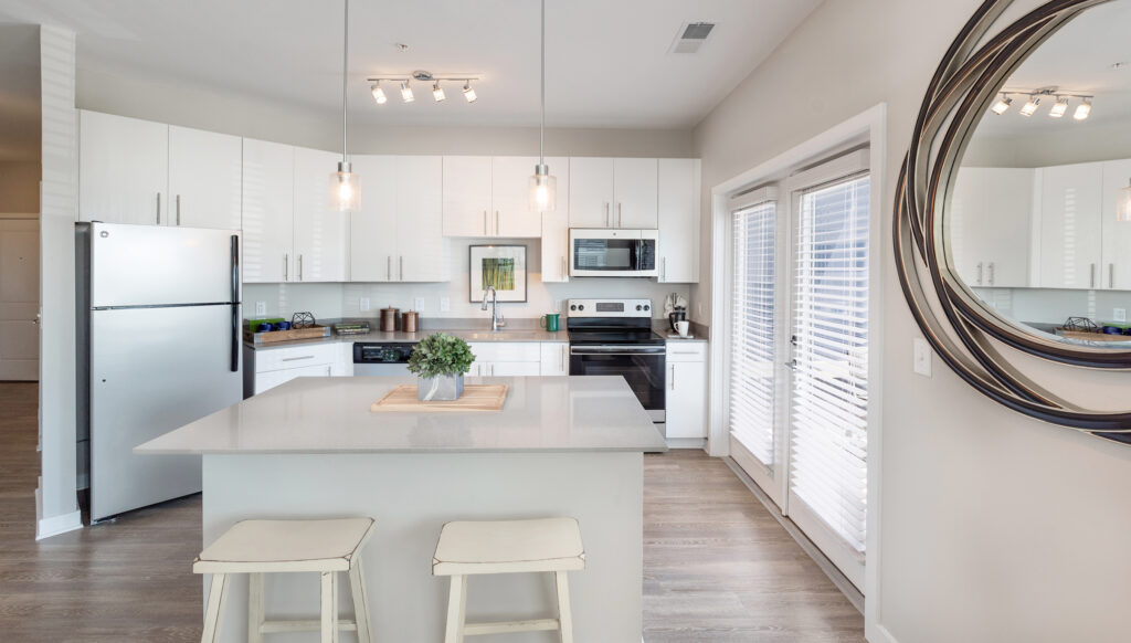 Luxury Apartment Kitchen